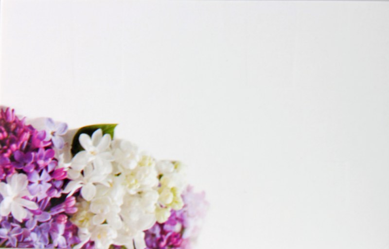 Picture of Florist Cards Small crcus x 50pcs